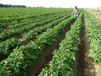 mixed 12th April 2012 062