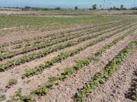 IMG_20180704_114336_4