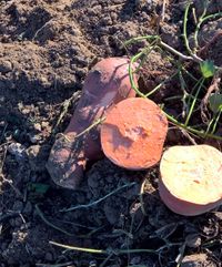 WP_20171025_17_47_37_Pro (2)