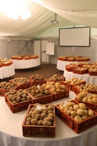 Solana UK Variety Demo 4-12-13 setting up the demonstration