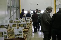 Tim Kitson, Paul Knight, Stephen North, Peter Pattrick, Maria Brockmann, Karsten Grimm, Leo von Kameke (Large)