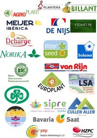 2020_LogoCompilation