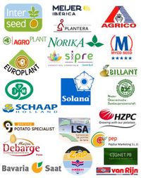 2021_Logo-compilacion_1