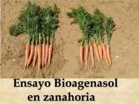 click on the image to download full presentation